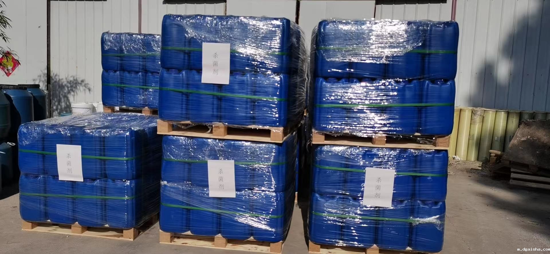 betvlctor伟德1946人的夏天 betvlctor伟德1946人的夏天