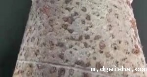 循环水处理九大腐蚀机理(中) 循环水处理九大腐蚀机理(中)