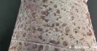 循环水处理九大腐蚀机理(中) 循环水处理九大腐蚀机理(中)